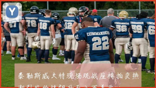 泰勒斯威夫特现场观战座椅拍卖热潮引发价格飙升至八百美元